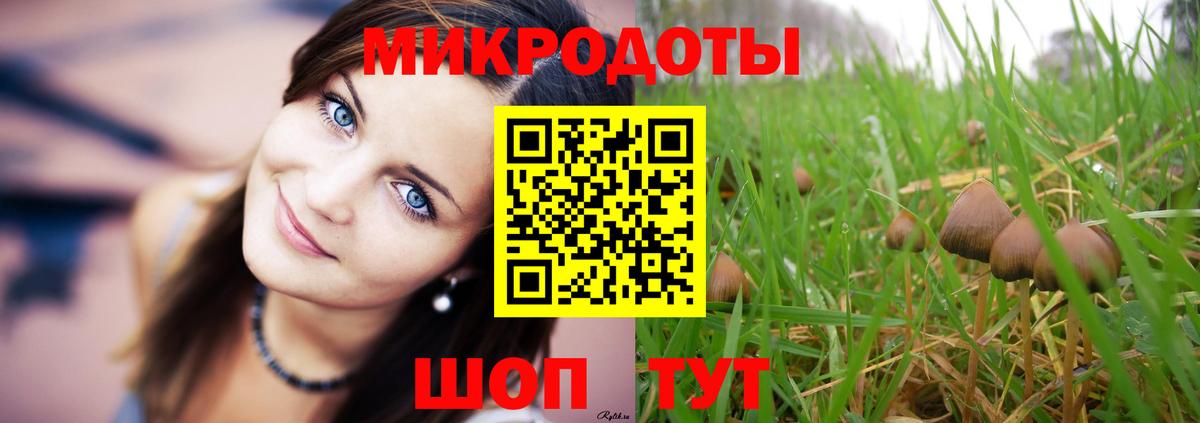 сколько стоит  Вход с VPN  Екатеринбург  Псилоцибиновые грибы Cubensis 